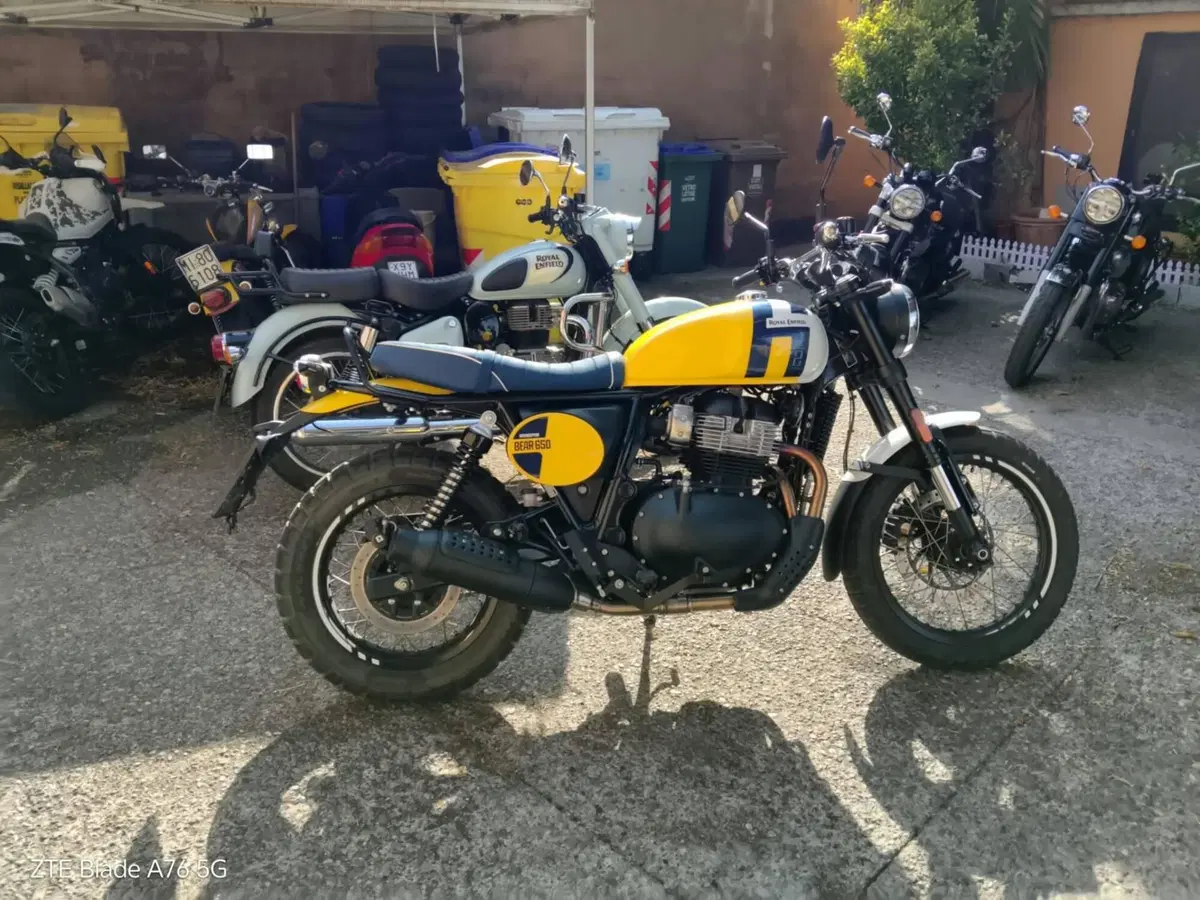 Royal Enfield Bear 650 (2025 - 26)