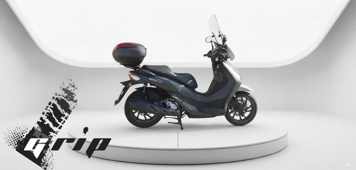 Sym HD 300 (2021 - 25)