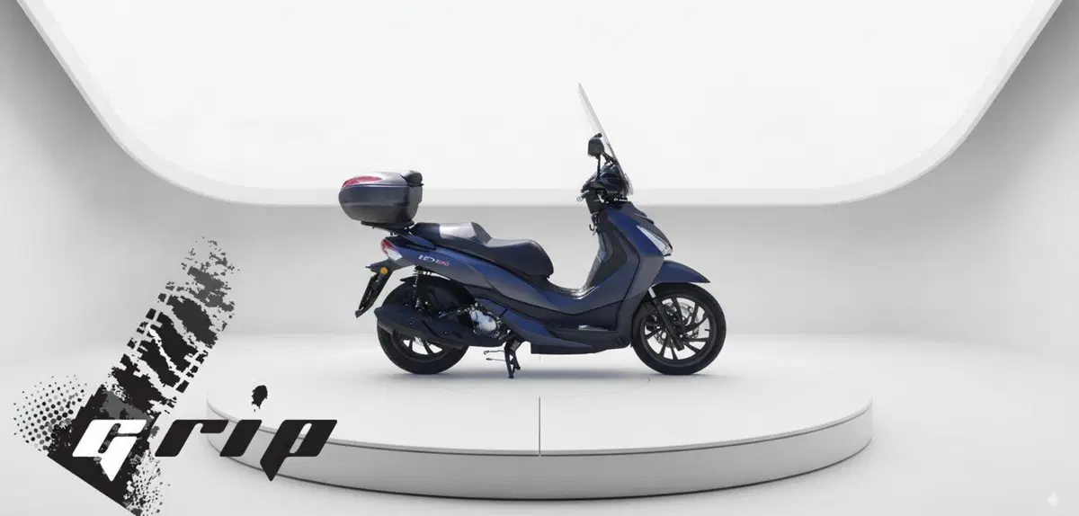 Sym HD 300 (2021 - 25)