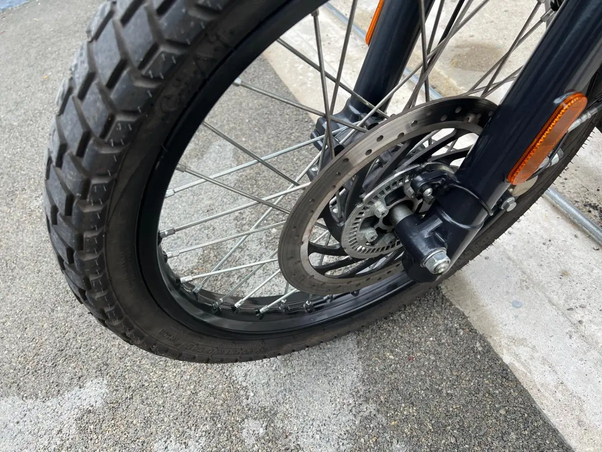 Royal Enfield Himalayan 411 (2021 - 24) (19)