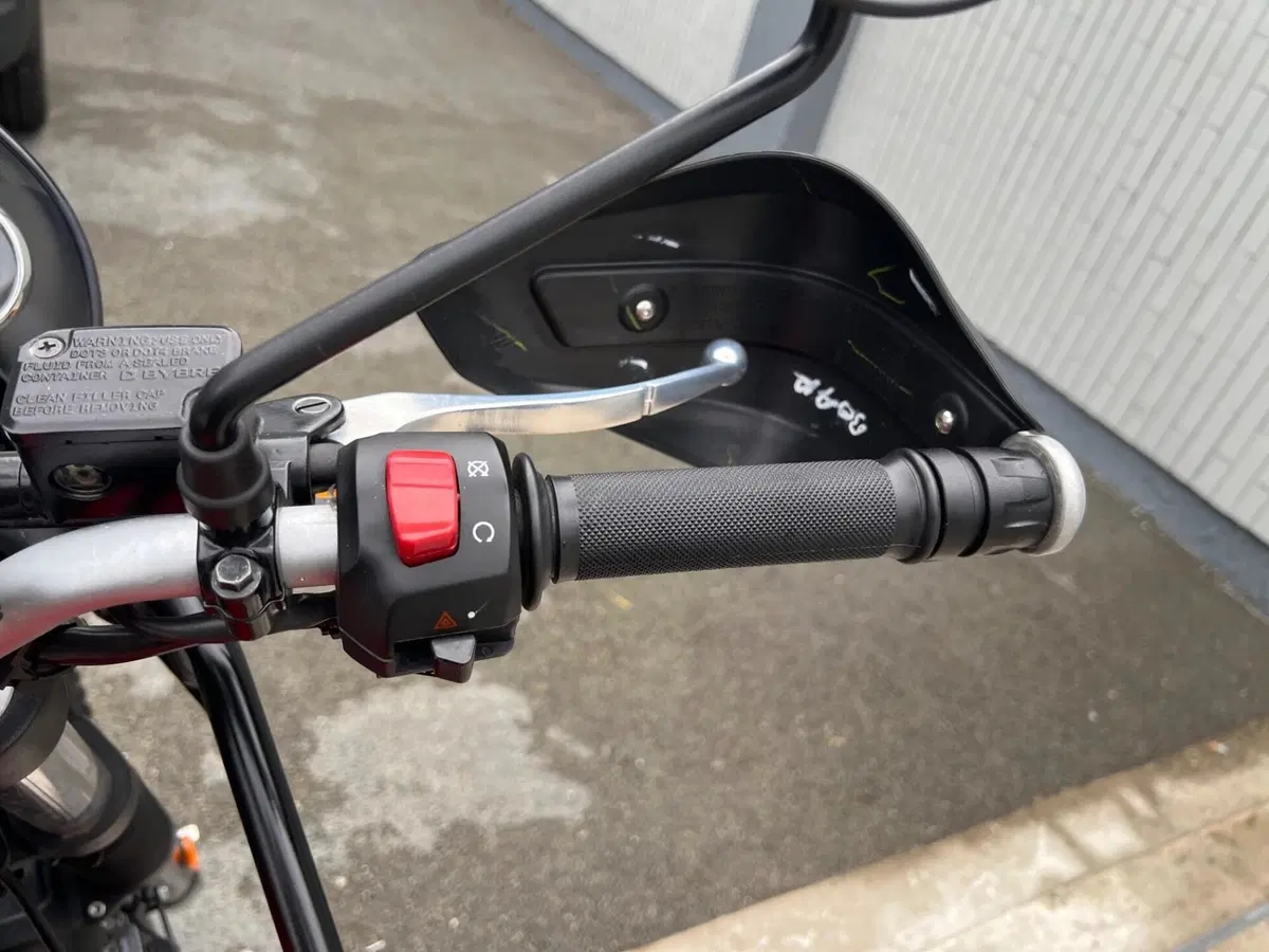Royal Enfield Himalayan 411 (2021 - 24) (14)