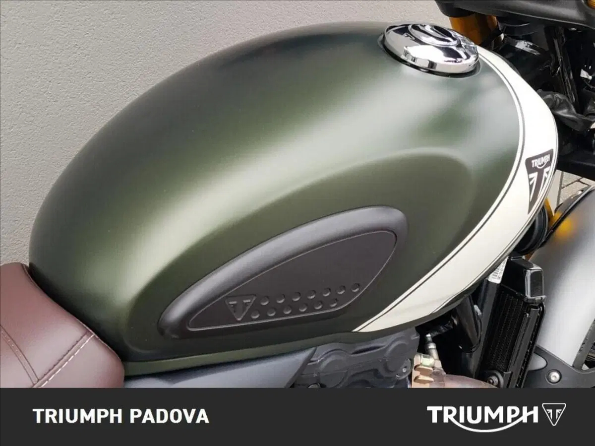 Triumph Scrambler 400 X (2024 - 26) (4)