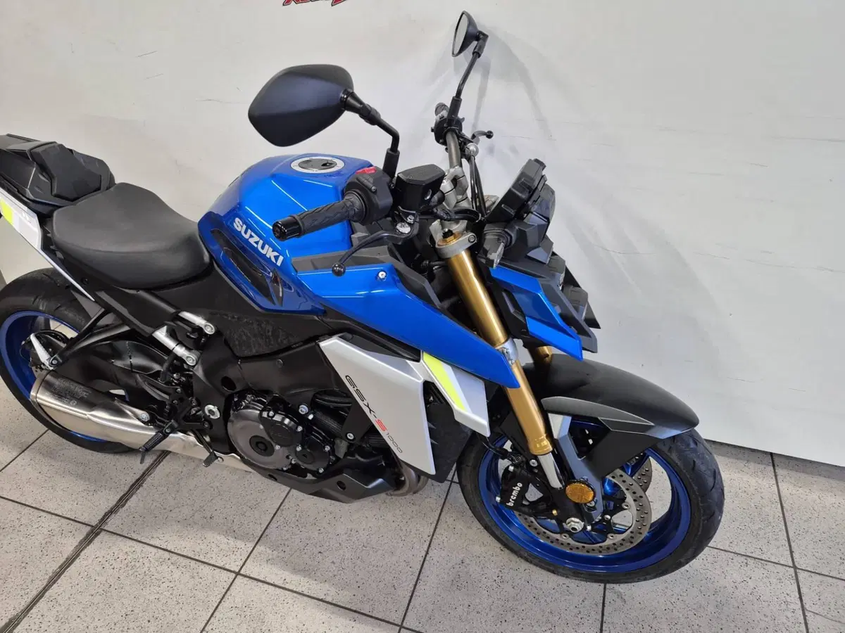 Suzuki GSX-S1000 (2021 - 25) (2)