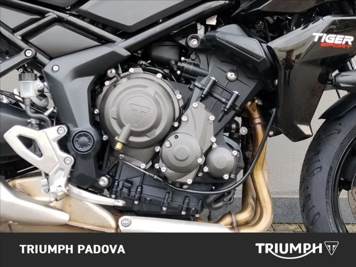Triumph Tiger Sport 660 (2025) (3)