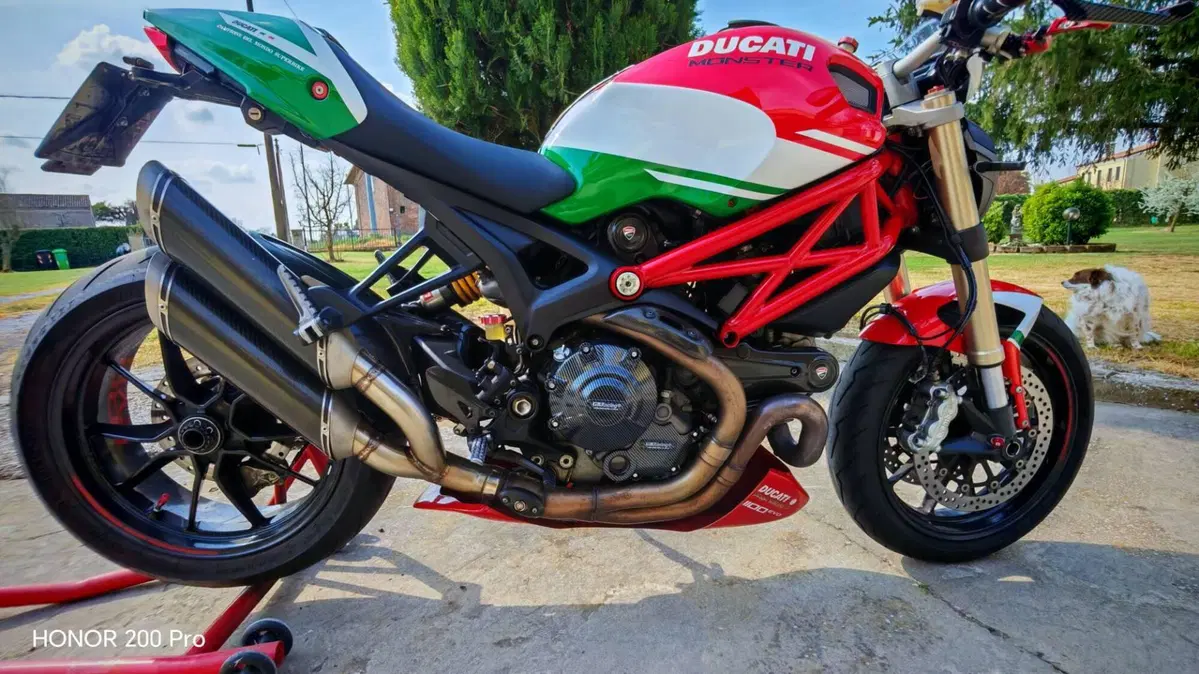 Ducati Monster 1100 Evo ABS (2011 - 13) (6)