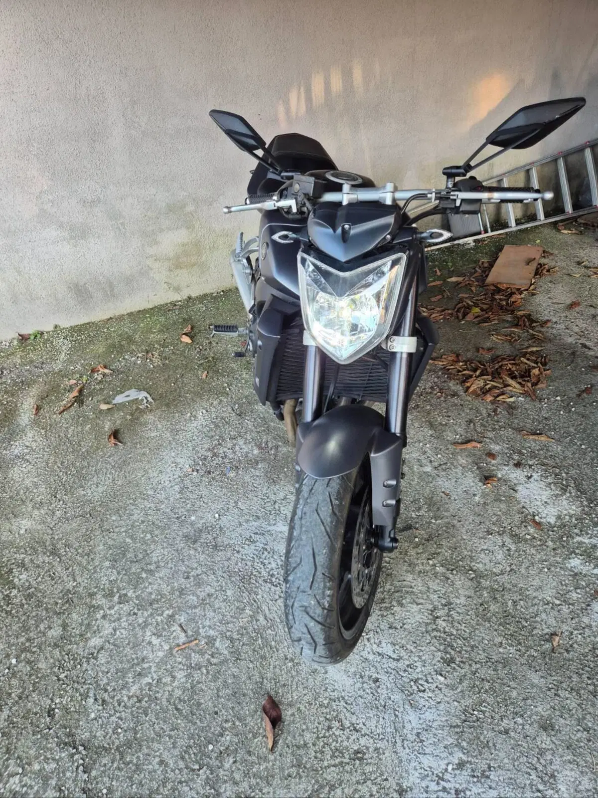 Yamaha FZ1 (2006 - 16) (2)