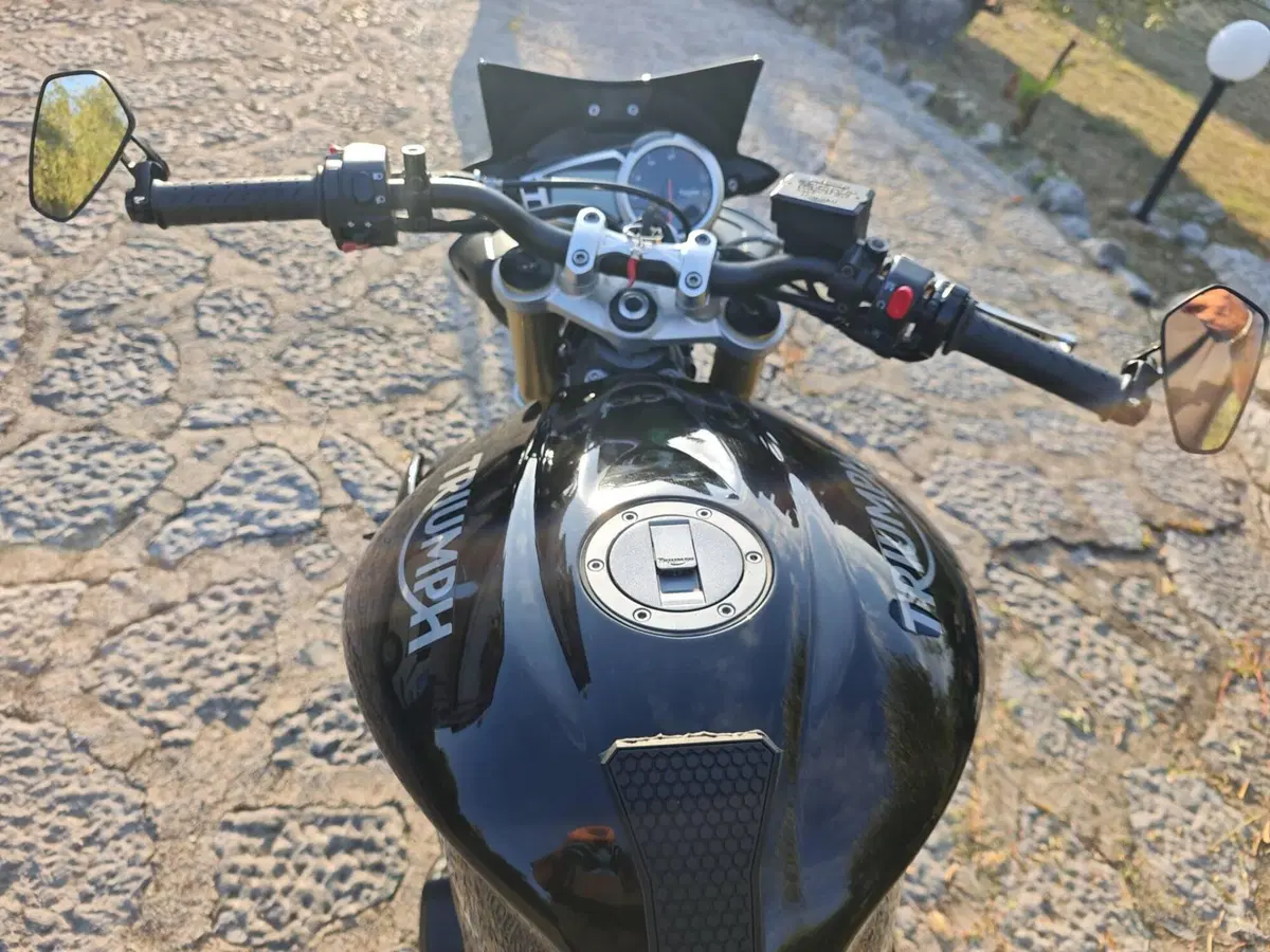 Triumph Street Triple R ABS (2013 - 17)