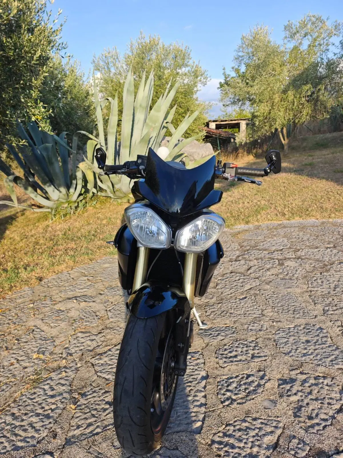 Triumph Street Triple R ABS (2013 - 17) (2)