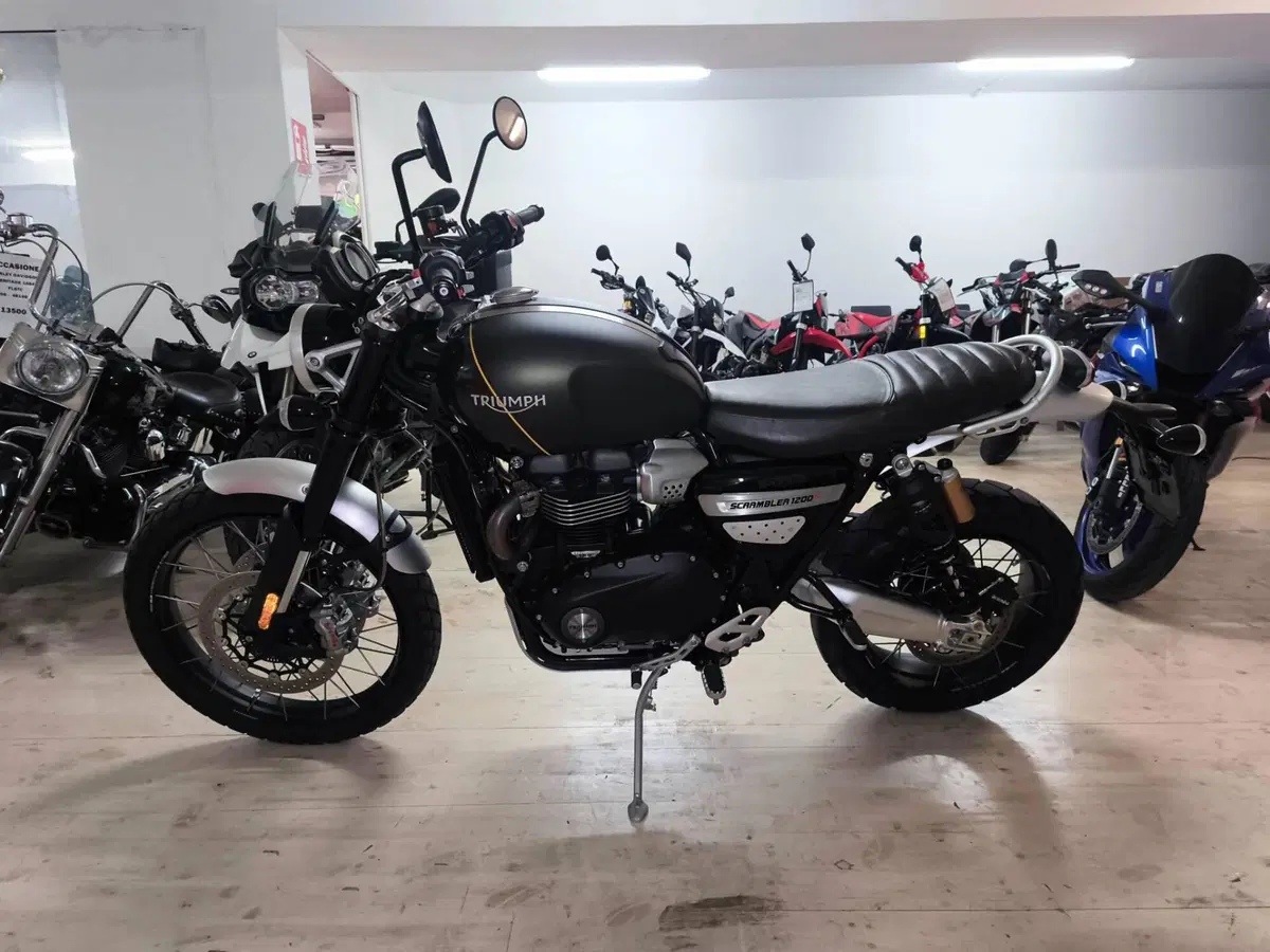 Triumph Scrambler 1200 XC (2019 - 20) (4)