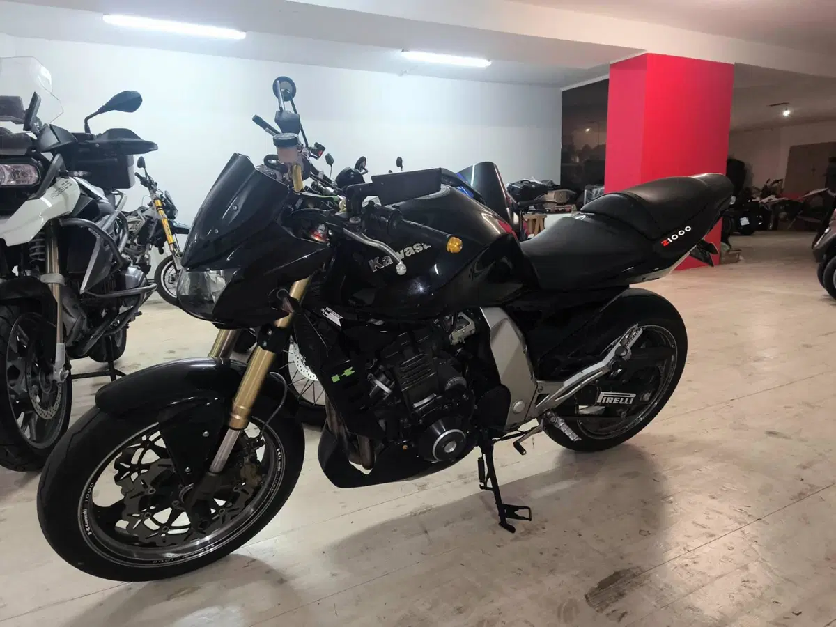 Kawasaki Z 1000 (2003 - 06) (3)
