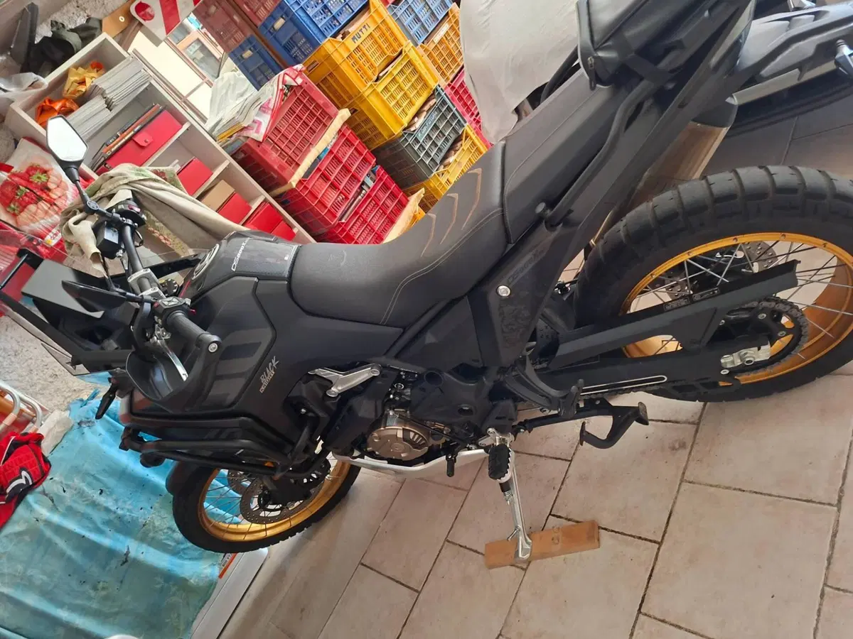 Voge Valico 800DSX Rally (2025 - 26)