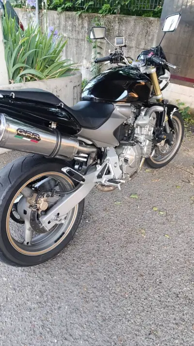 Honda Hornet 600 (2005 - 06) usata