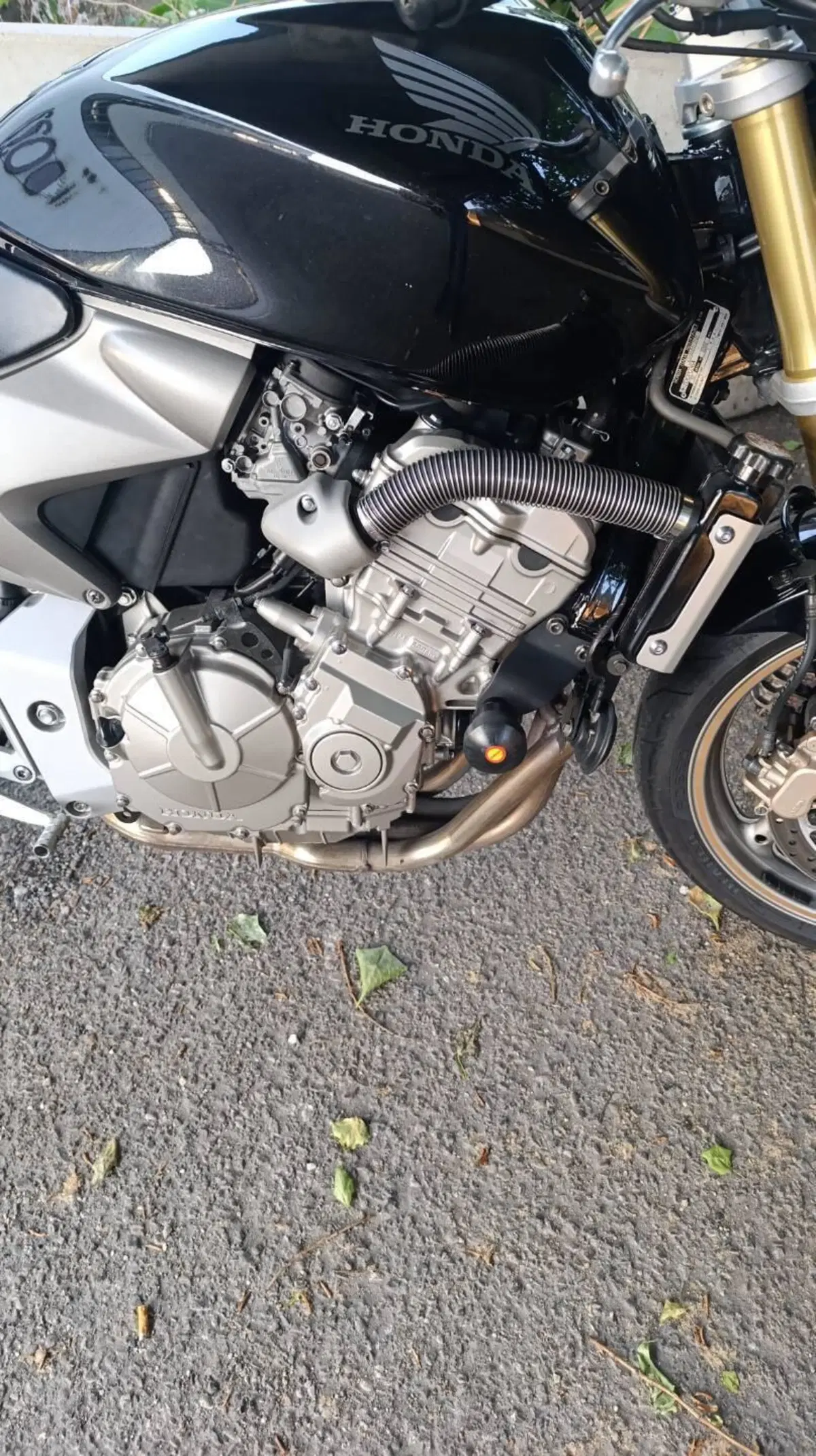 Honda Hornet 600 (2005 - 06) (3)