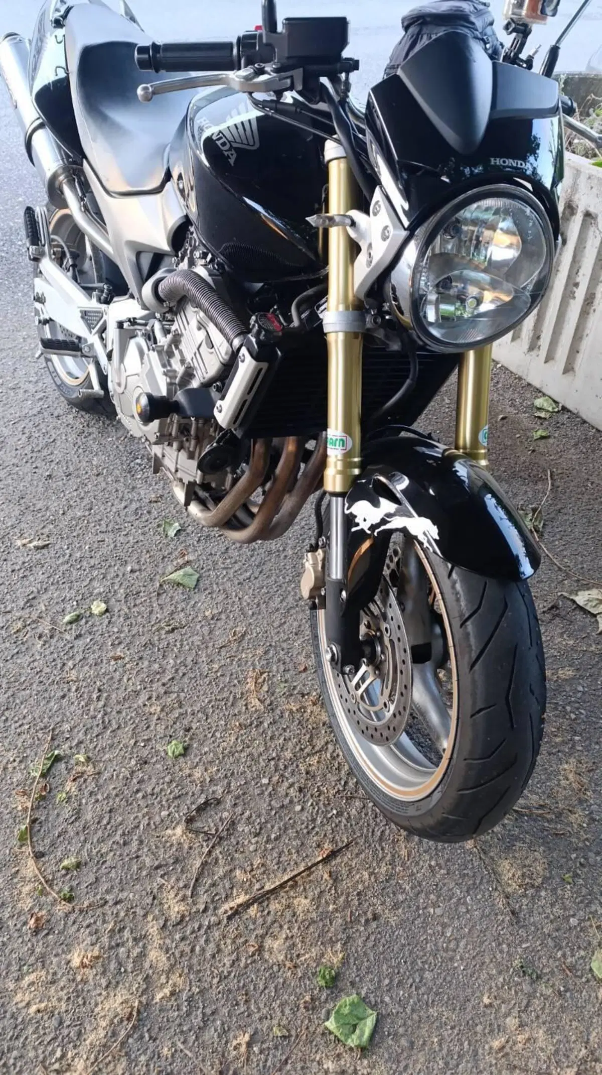 Honda Hornet 600 (2005 - 06) (4)