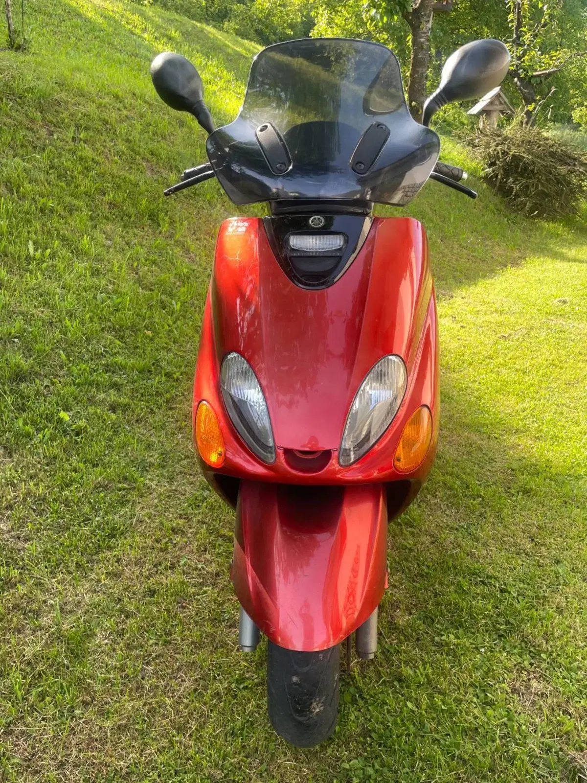 Yamaha Majesty 125 (2000 - 06) (2)