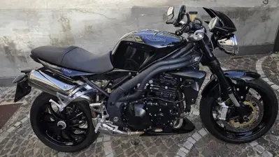 Triumph Speed Triple 1050 (2005 - 11) usata