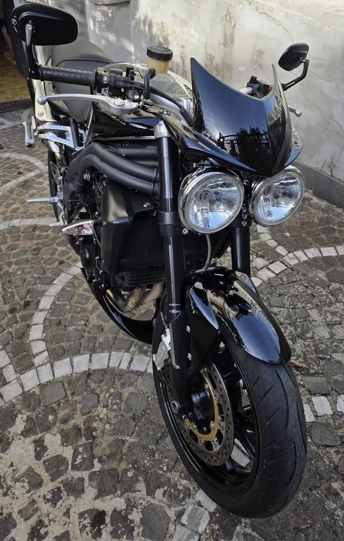 Triumph Speed Triple 1050 (2005 - 11) (2)