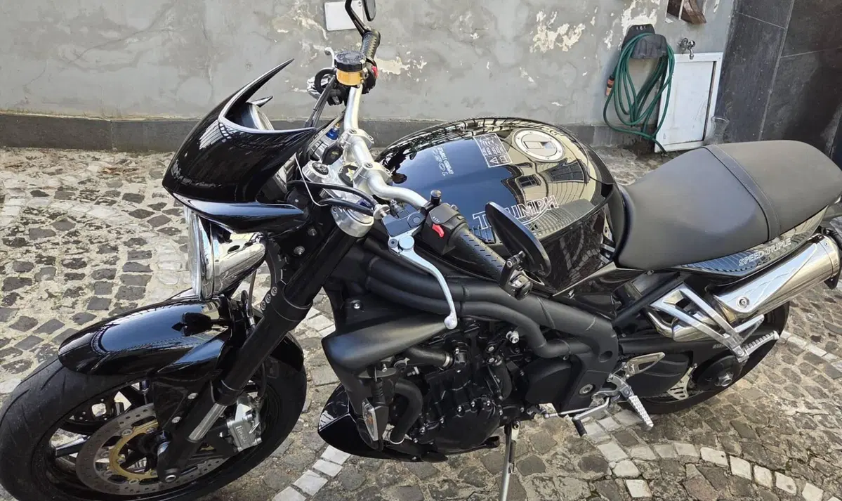 Triumph Speed Triple 1050 (2005 - 11) (3)