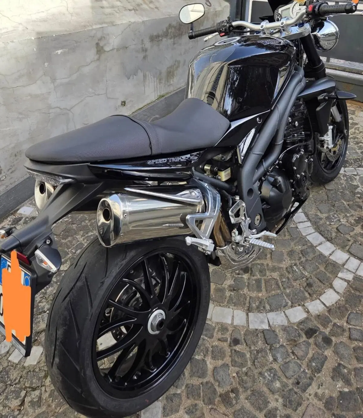 Triumph Speed Triple 1050 (2005 - 11) (4)