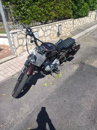 Harley-Davidson 883 Standard (2001 - 05) - XL 883 usata