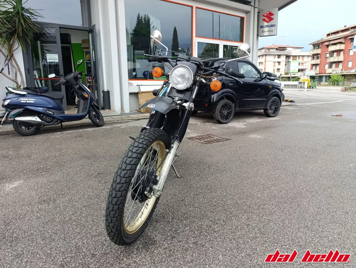 Suzuki (2)