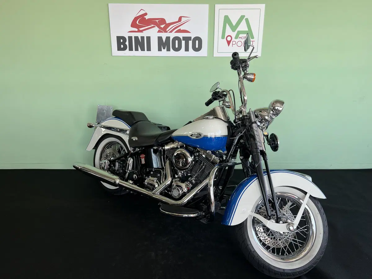 Harley-Davidson 1584 Springer Classic (2006 - 07) - FLSTSC (2)