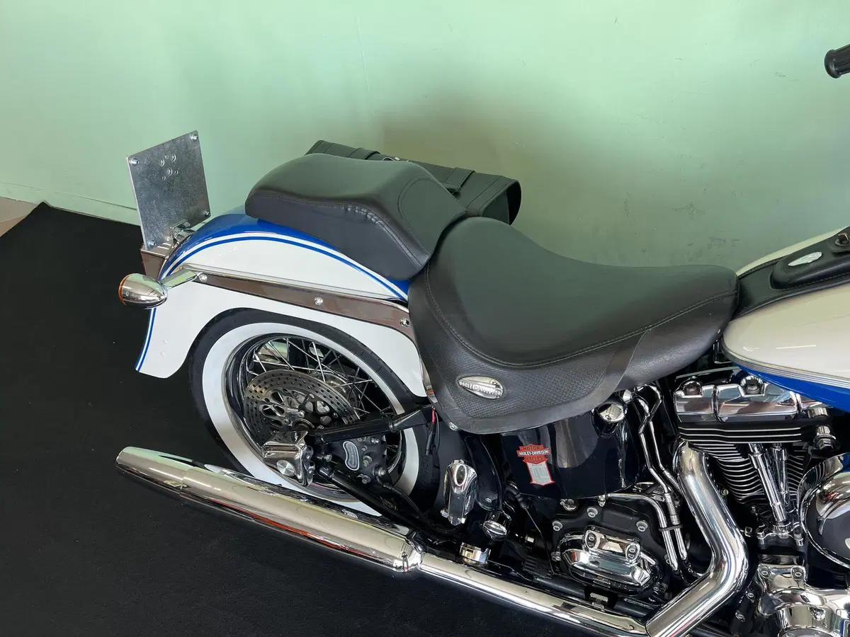 Harley-Davidson 1584 Springer Classic (2006 - 07) - FLSTSC (9)