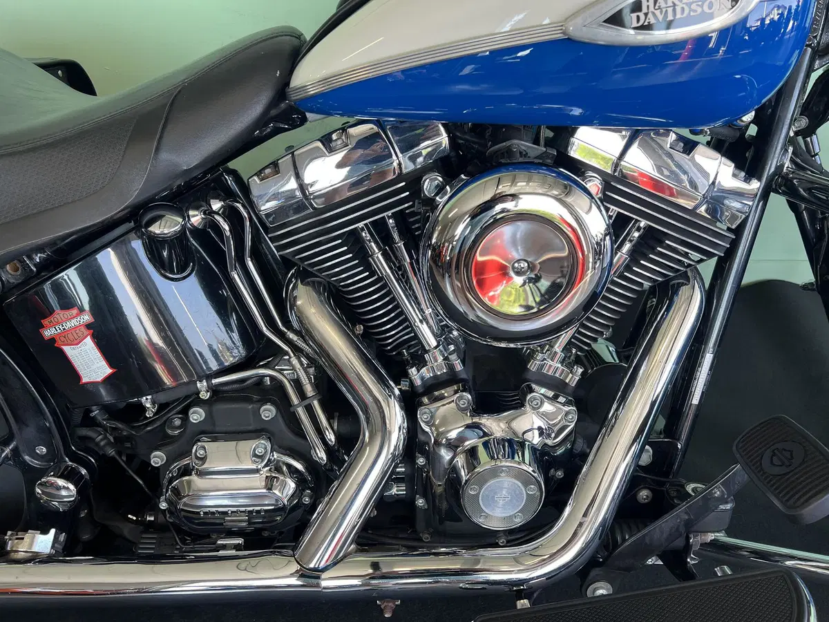Harley-Davidson 1584 Springer Classic (2006 - 07) - FLSTSC (10)