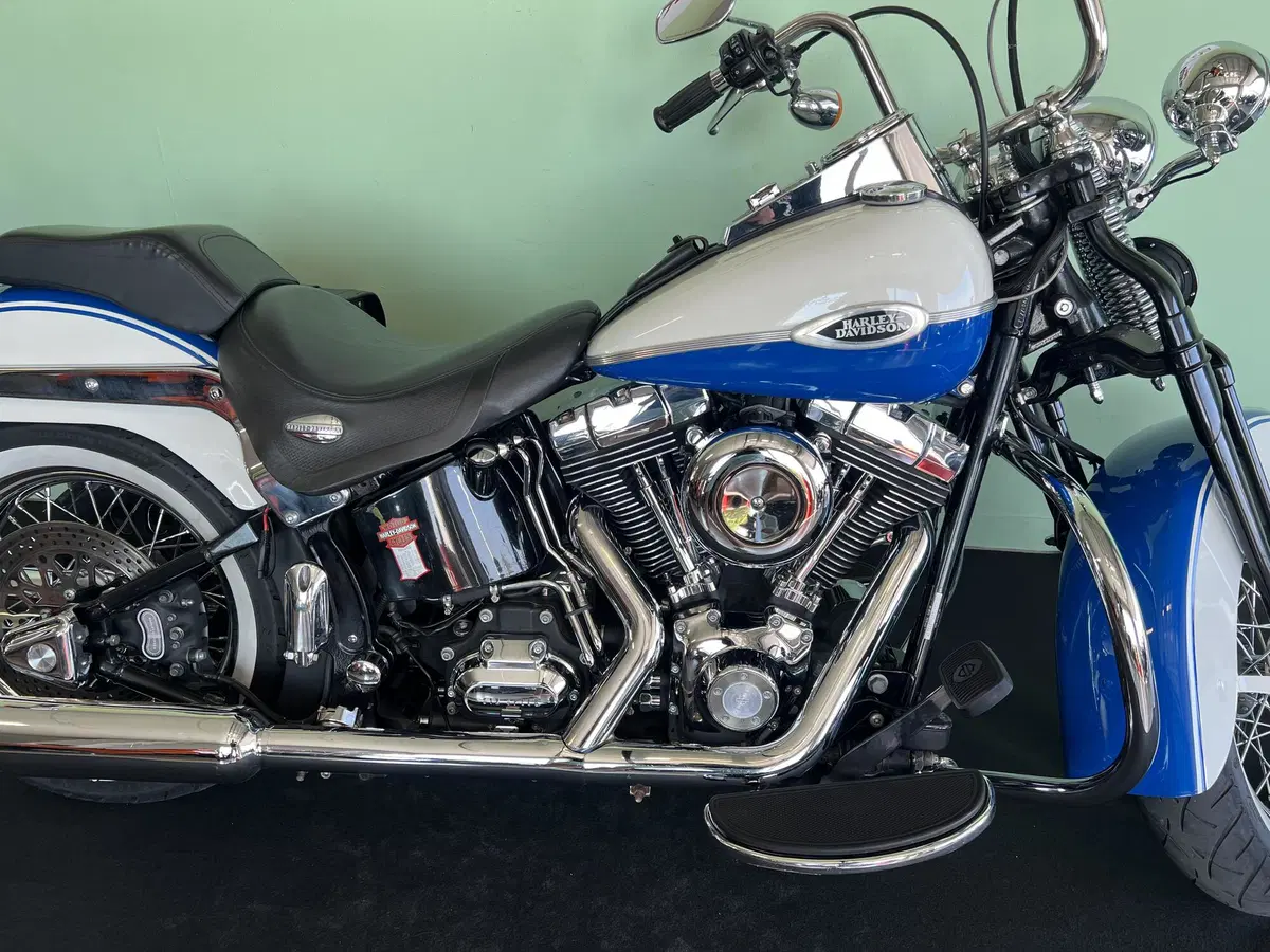 Harley-Davidson 1584 Springer Classic (2006 - 07) - FLSTSC (11)