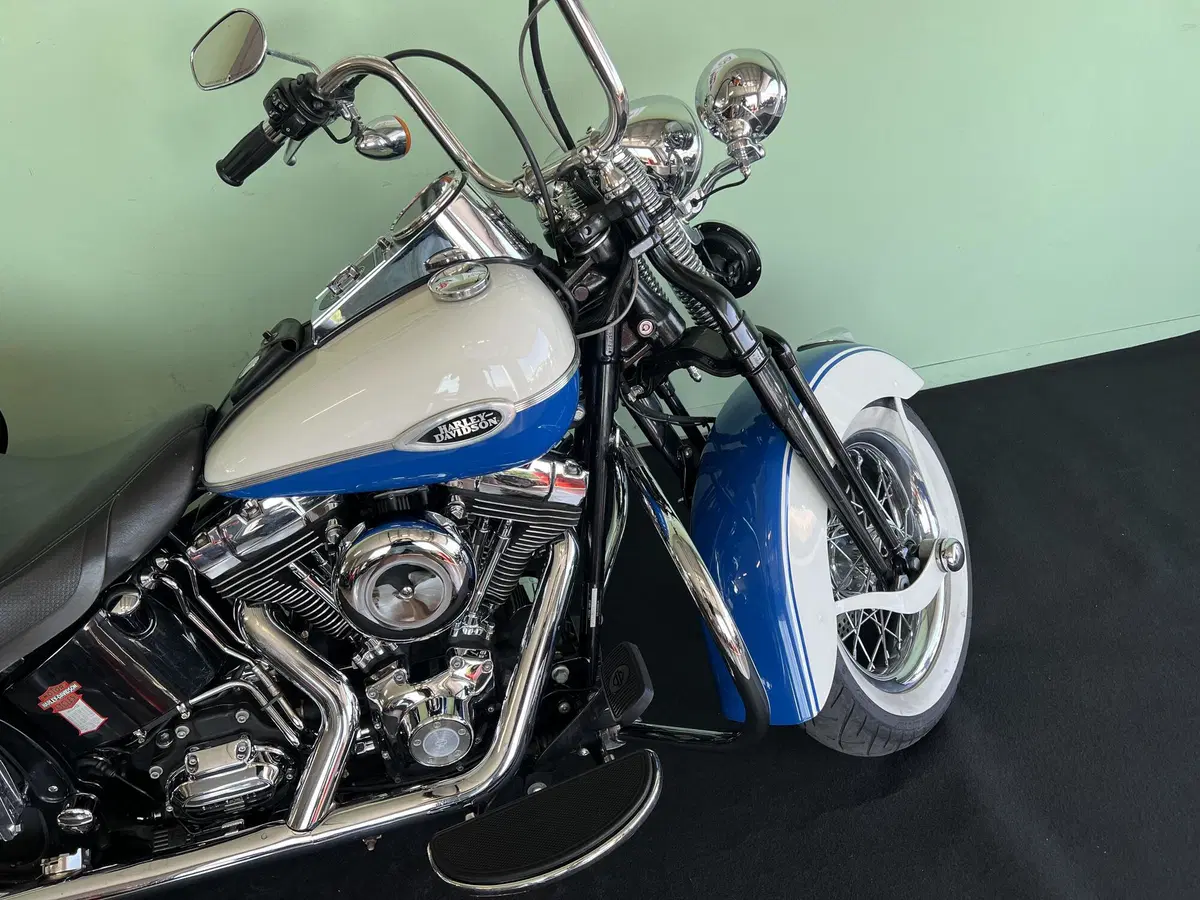 Harley-Davidson 1584 Springer Classic (2006 - 07) - FLSTSC (12)