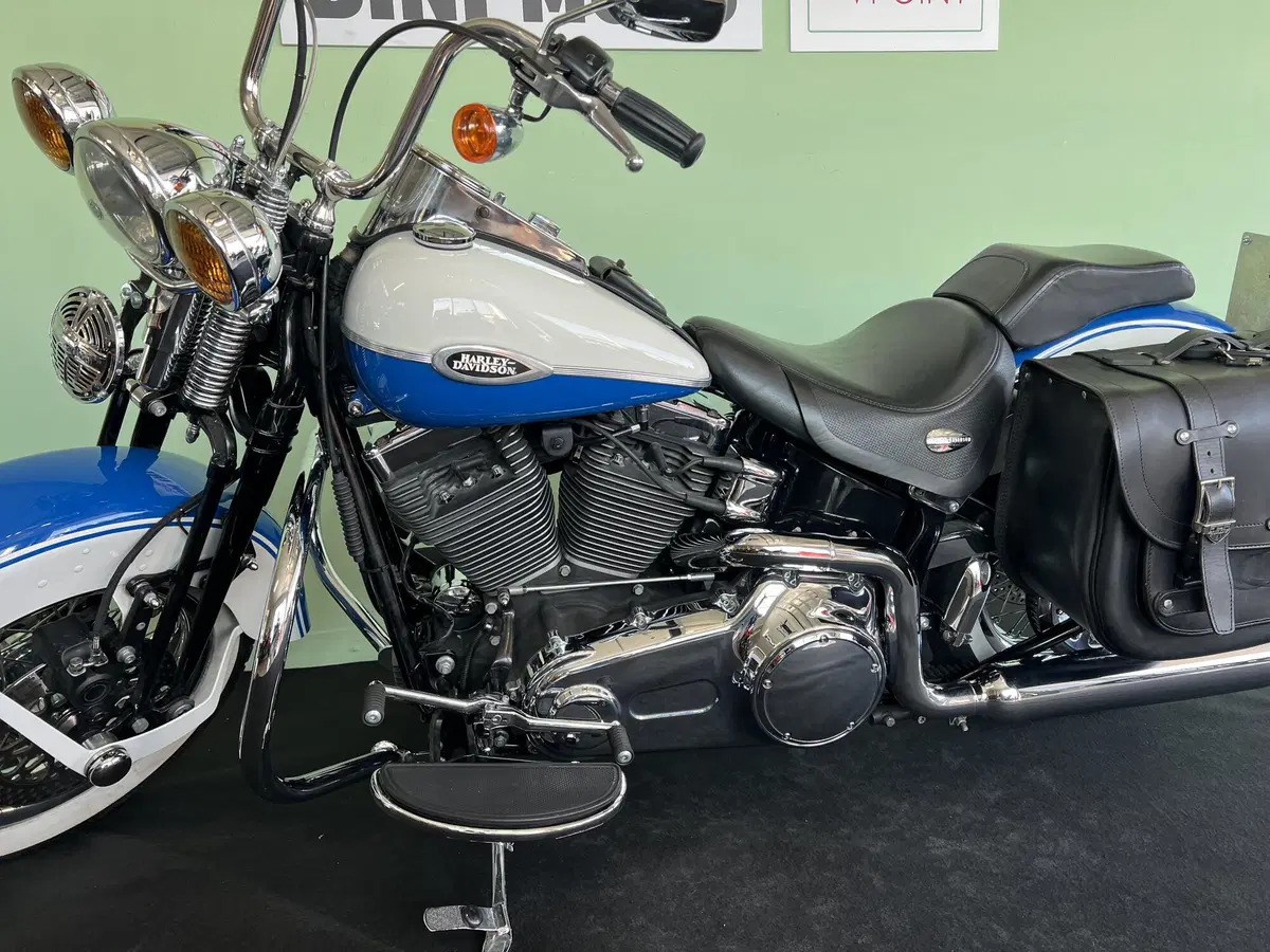 Harley-Davidson 1584 Springer Classic (2006 - 07) - FLSTSC (14)