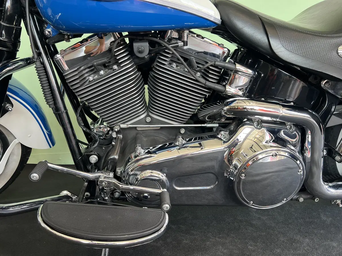Harley-Davidson 1584 Springer Classic (2006 - 07) - FLSTSC (15)
