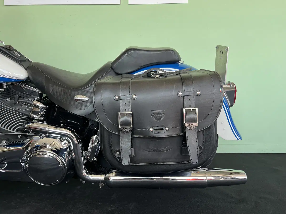 Harley-Davidson 1584 Springer Classic (2006 - 07) - FLSTSC (16)