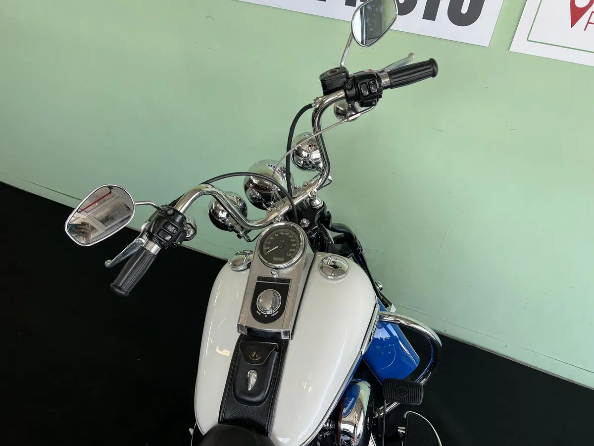 Harley-Davidson 1584 Springer Classic (2006 - 07) - FLSTSC (17)