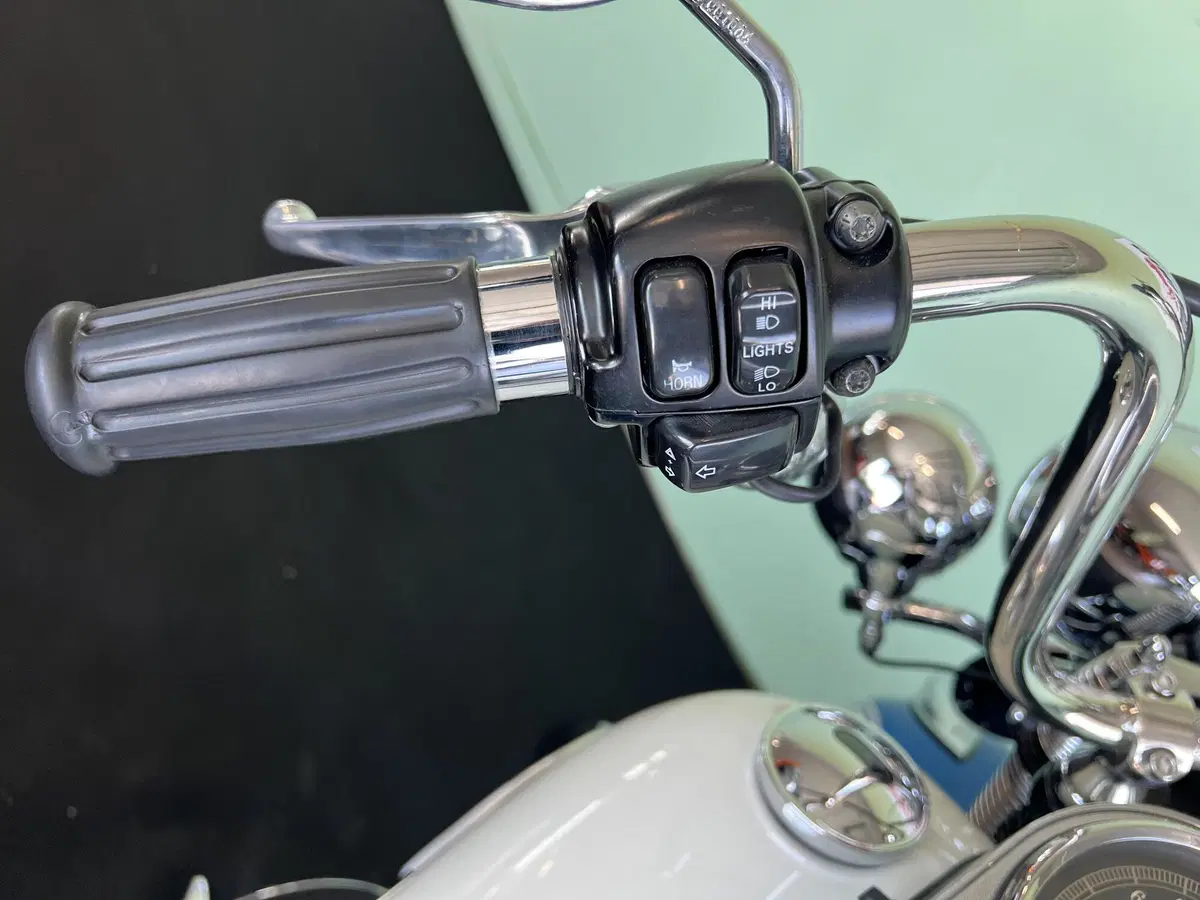 Harley-Davidson 1584 Springer Classic (2006 - 07) - FLSTSC (20)