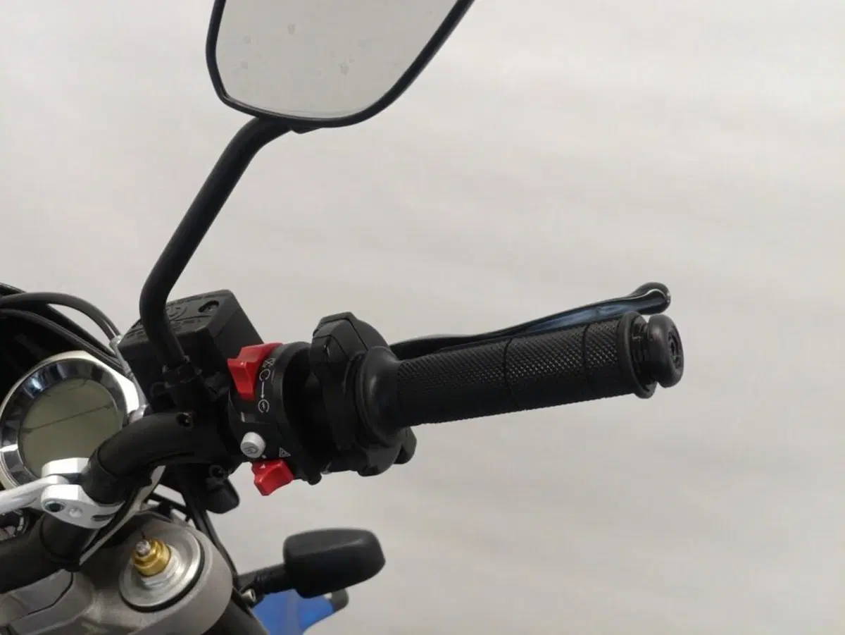Ducati Scrambler 800 Desert Sled (2021 - 22) (8)