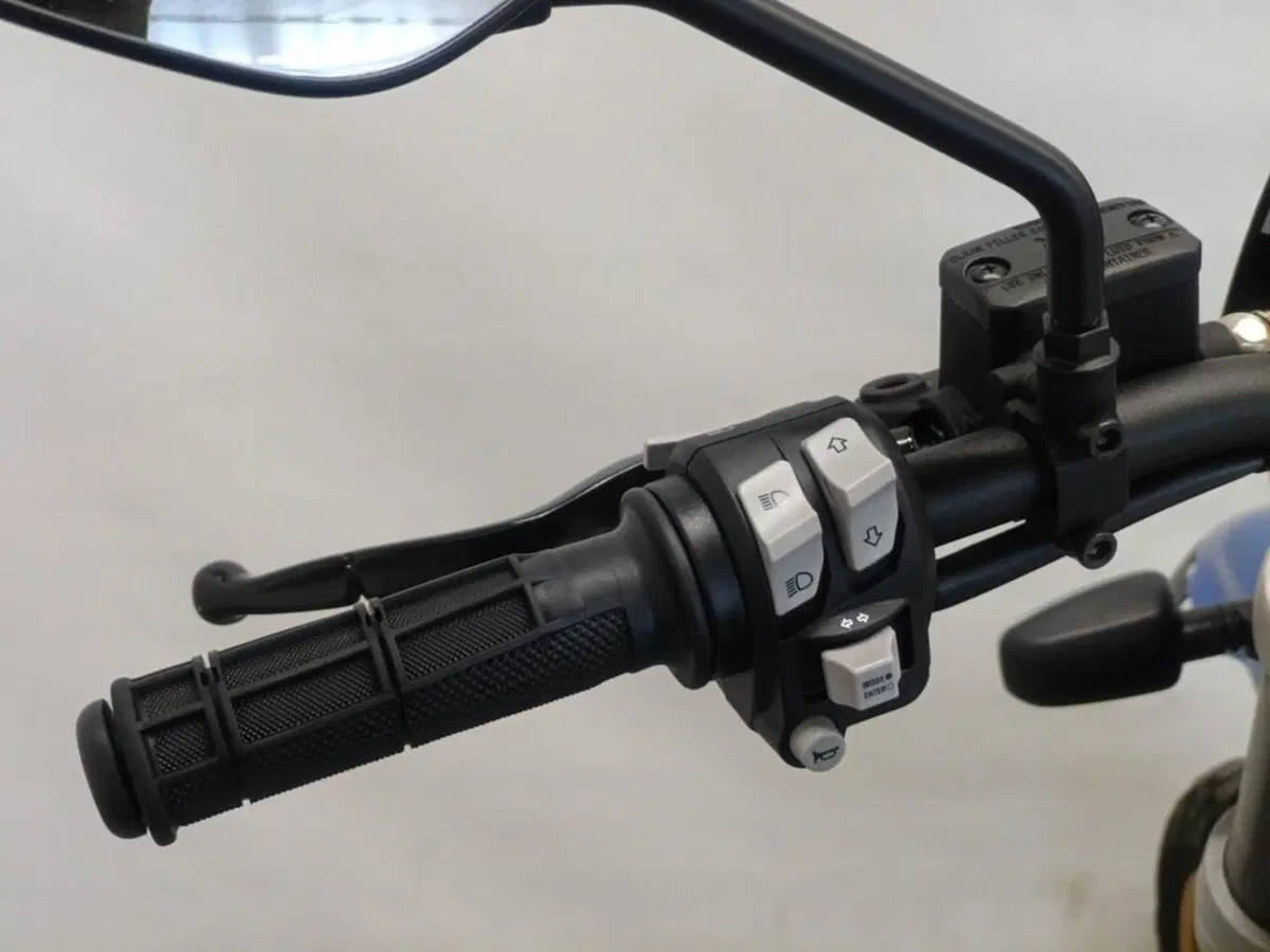 Ducati Scrambler 800 Desert Sled (2021 - 22) (7)