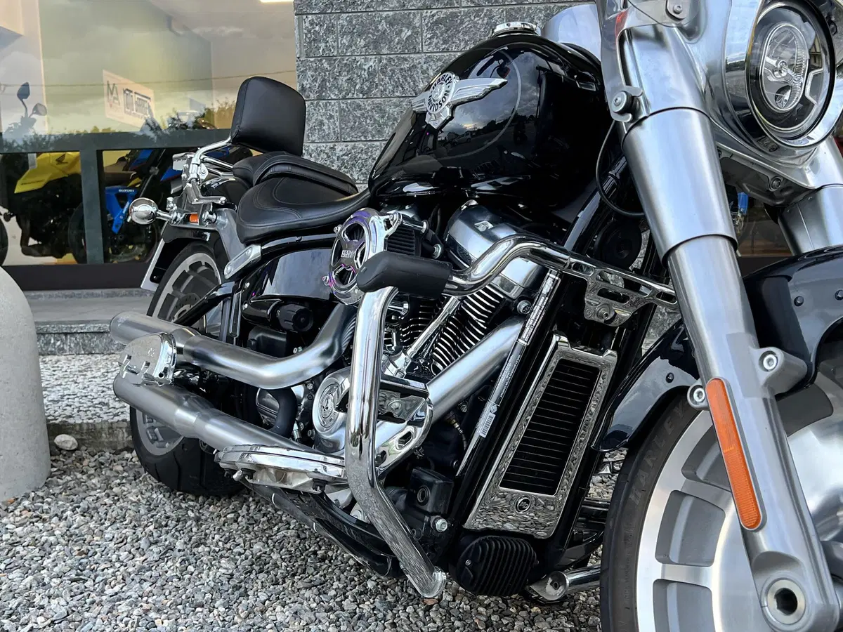 Harley-Davidson 114 Fat Boy (2018 - 20) - FLFBS (8)