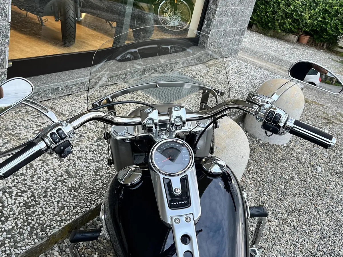 Harley-Davidson 114 Fat Boy (2018 - 20) - FLFBS (14)