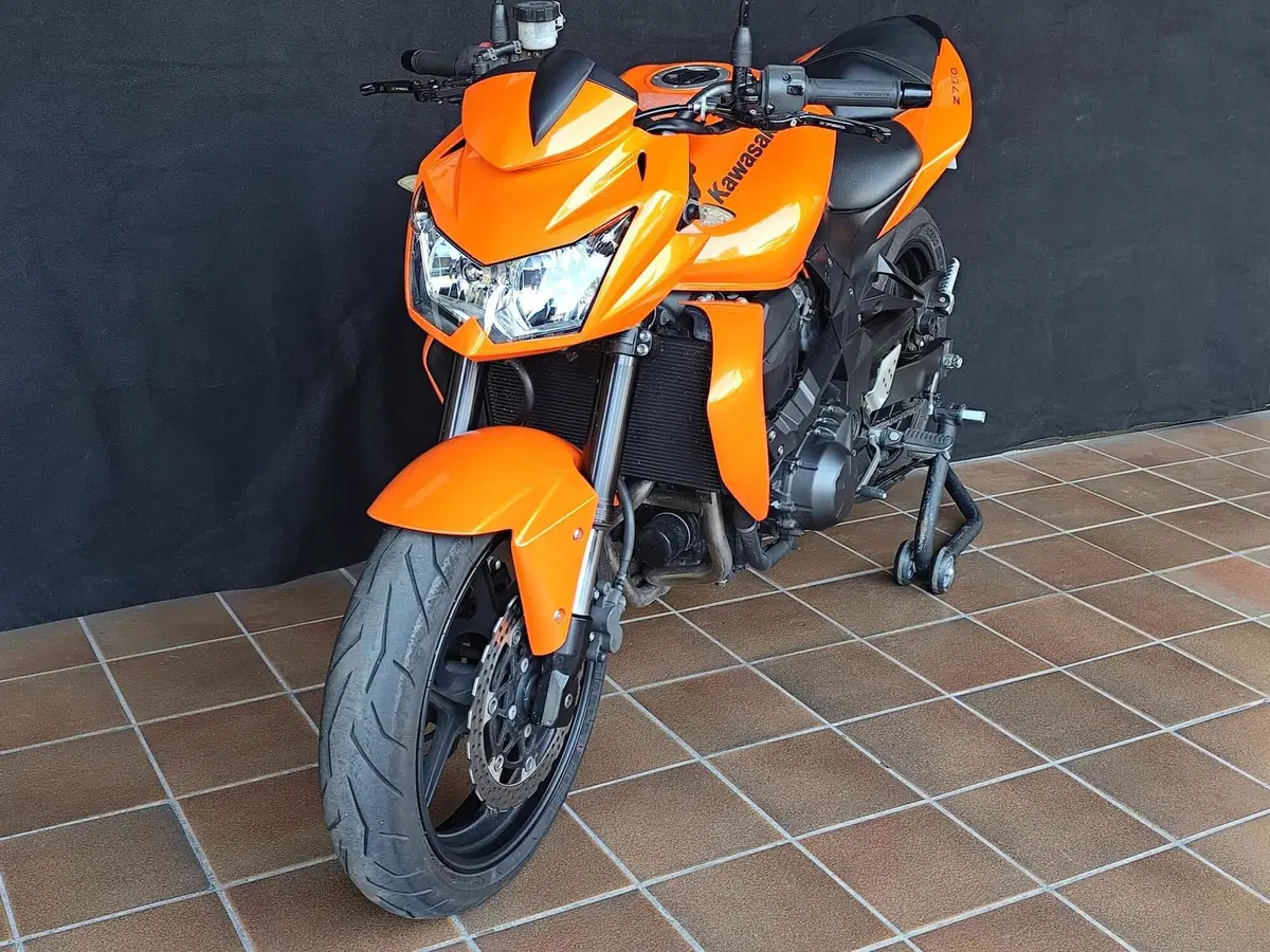 Kawasaki Z 750 (2007 - 14) (6)