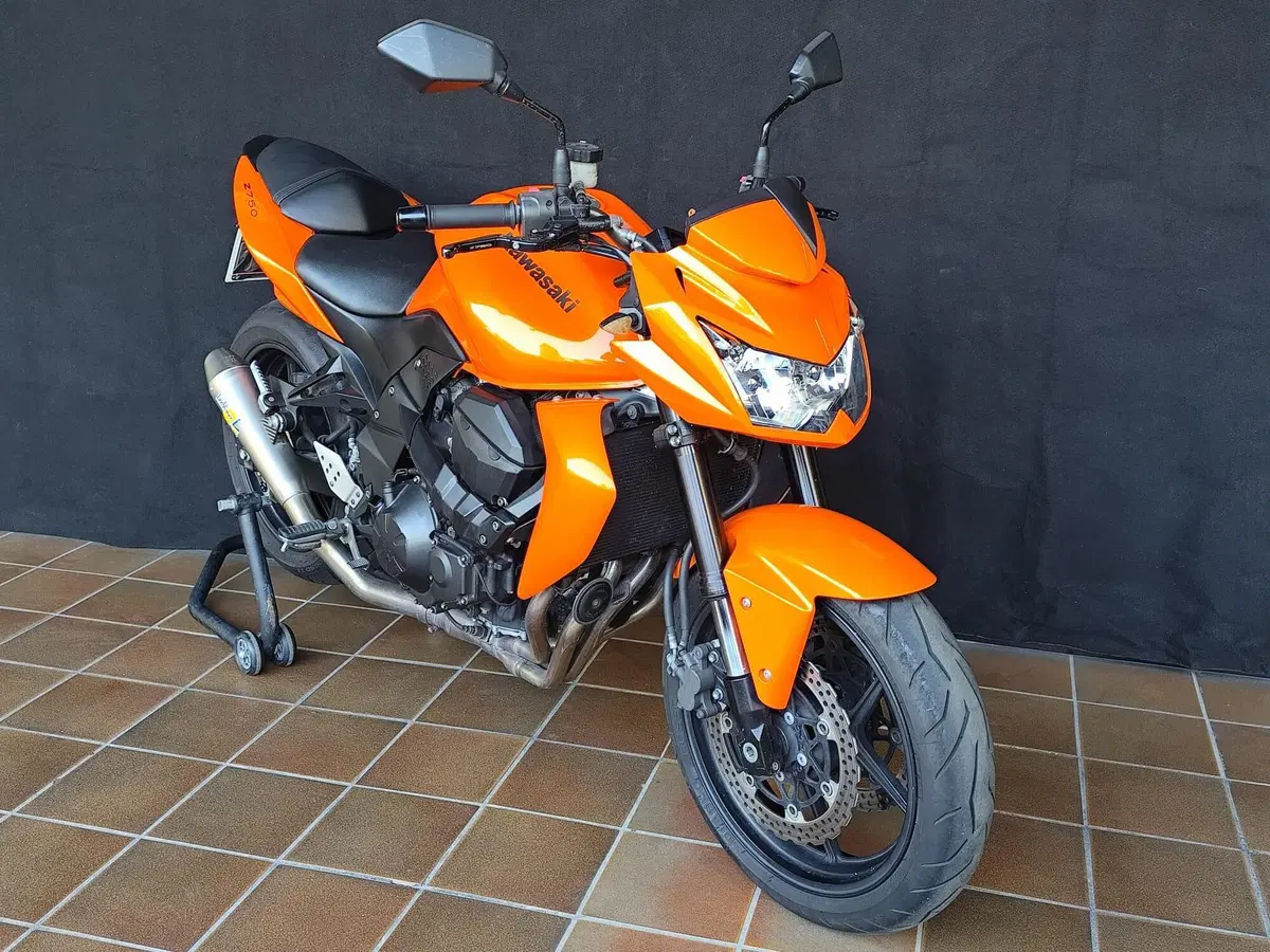 Kawasaki Z 750 (2007 - 14) (7)