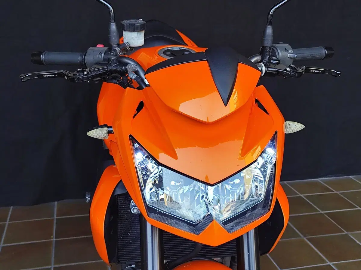 Kawasaki Z 750 (2007 - 14) (11)