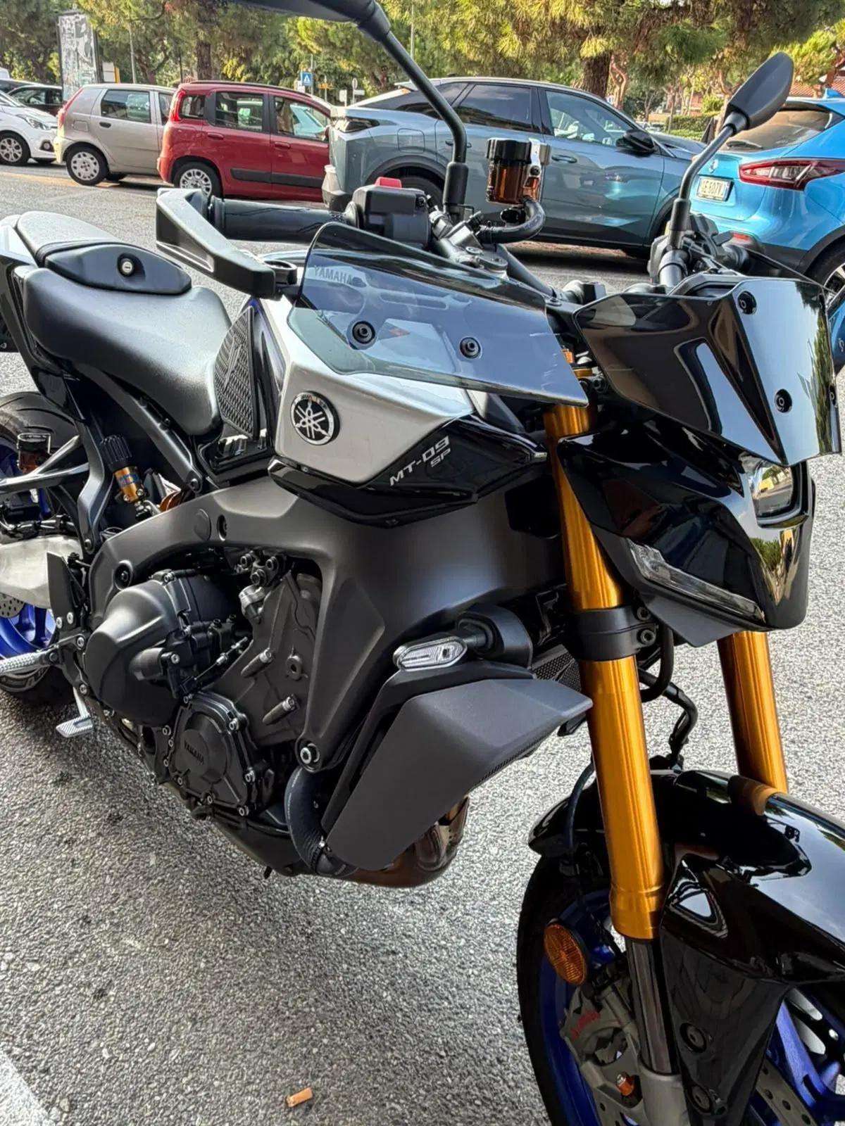Yamaha MT-09 SP (2024 - 26) (8)