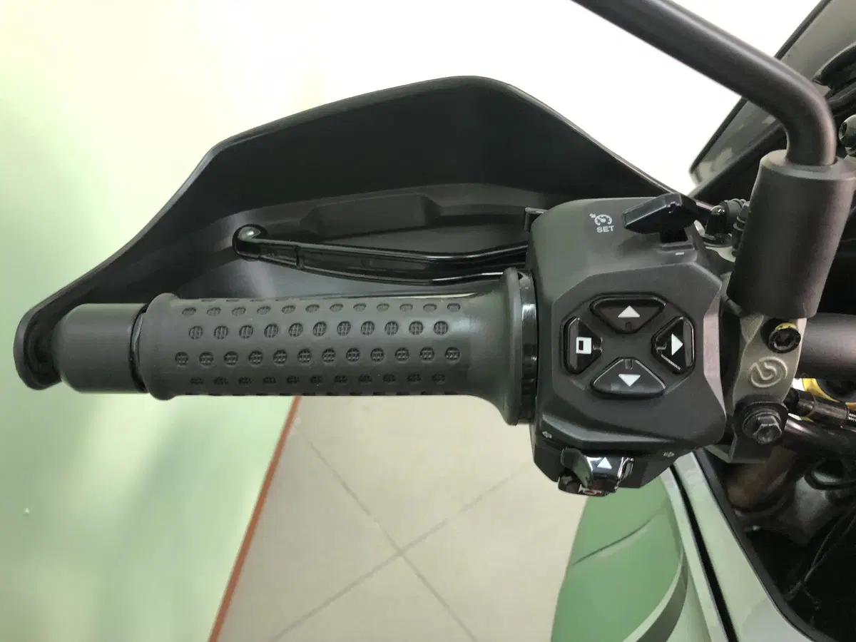 Moto Guzzi V100 Mandello S (2022 - 24) (9)