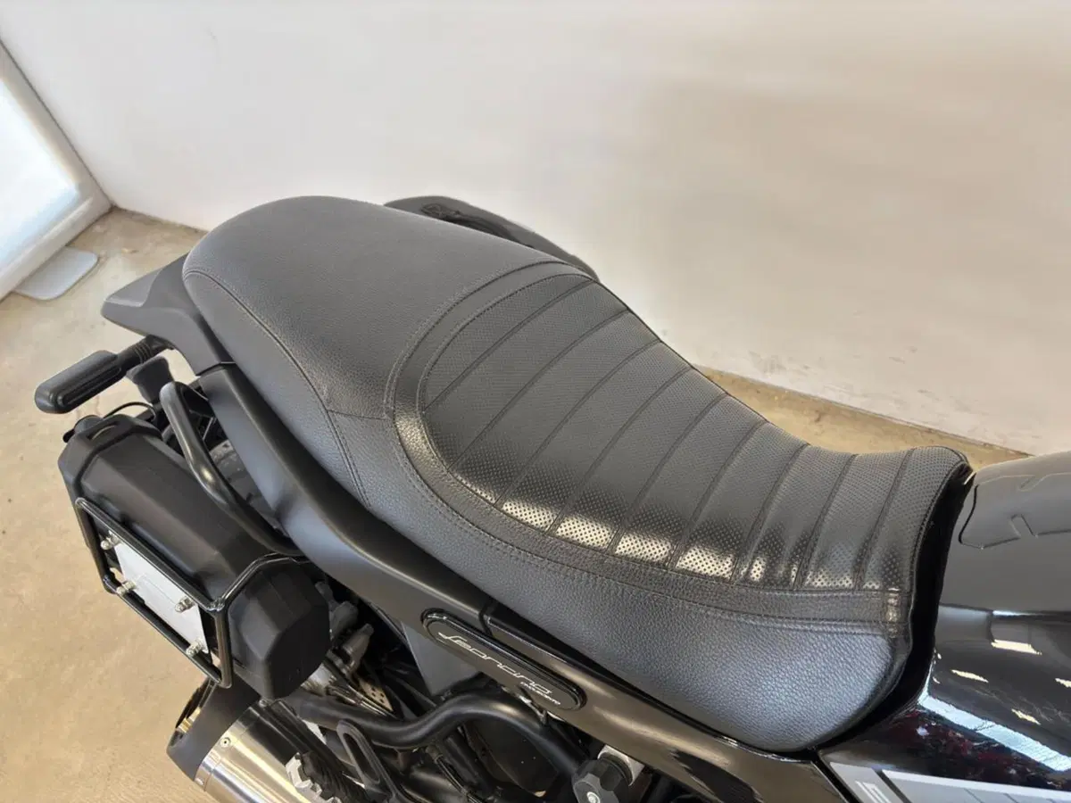 Benelli Leoncino 500 (2021 - 25) (9)