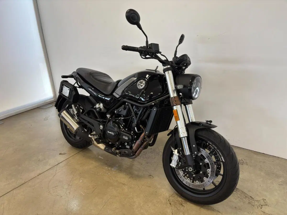 Benelli Leoncino 500 (2021 - 25) (2)