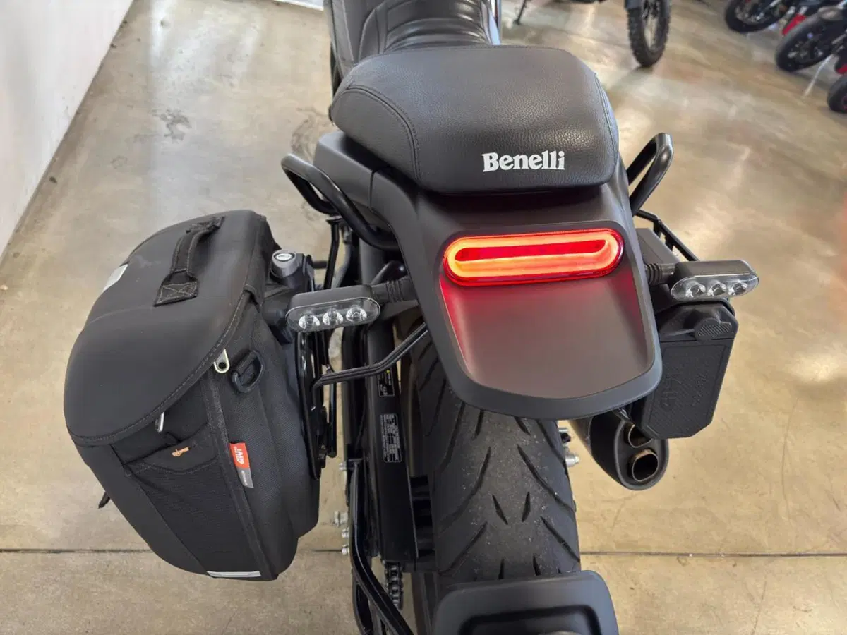 Benelli Leoncino 500 (2021 - 25) (10)