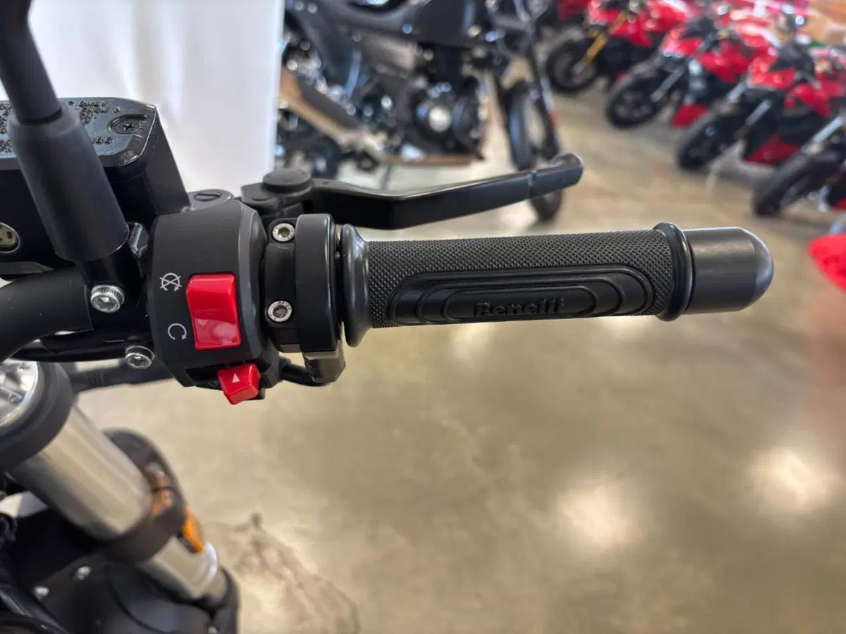 Benelli Leoncino 500 (2021 - 25) (12)