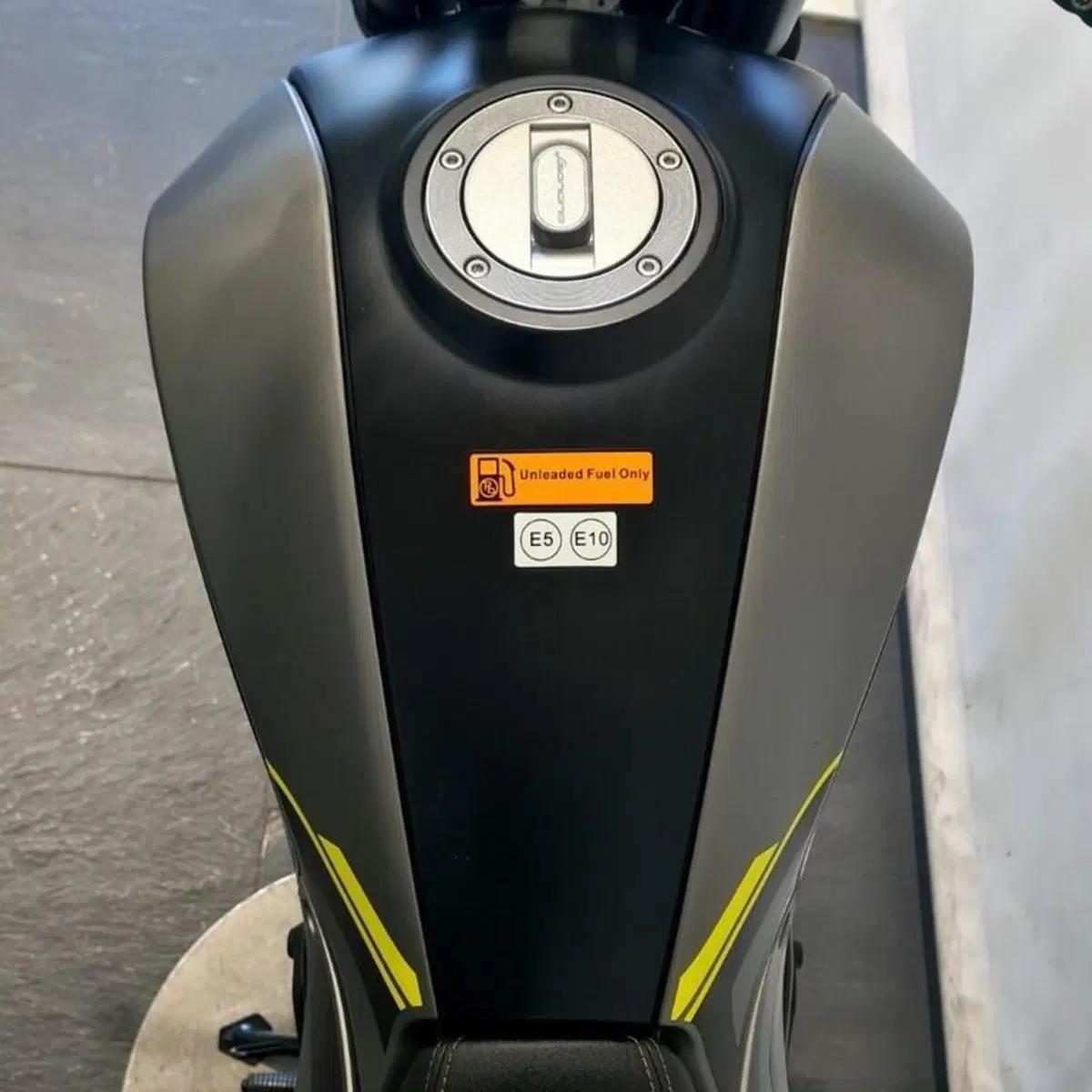 Benelli Leoncino 250 (2021 - 25) (6)