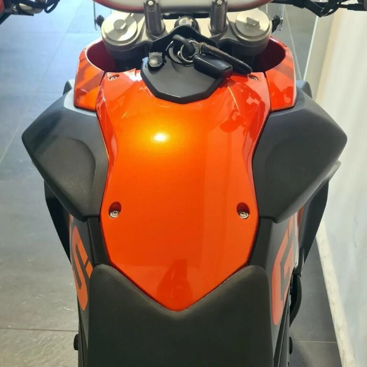 Bmw F 800 GS (2008 - 15) (6)